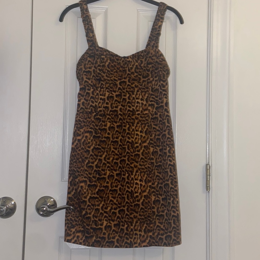 Zara Cheetah Print Mini Dress